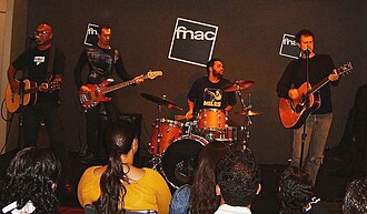 Plebe Rude (banda)