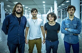 Selvagens à Procura de Lei (banda)